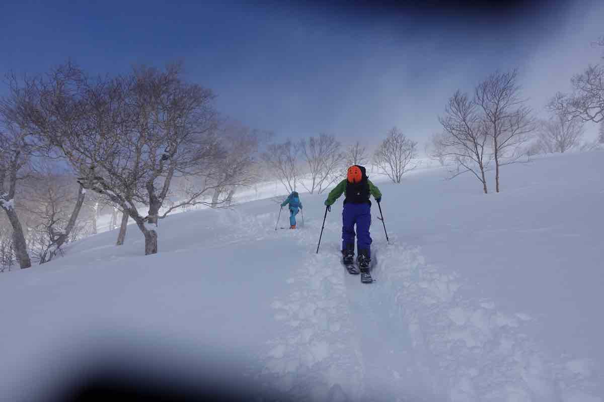 th_DSC01736.jpg Th DSC01736