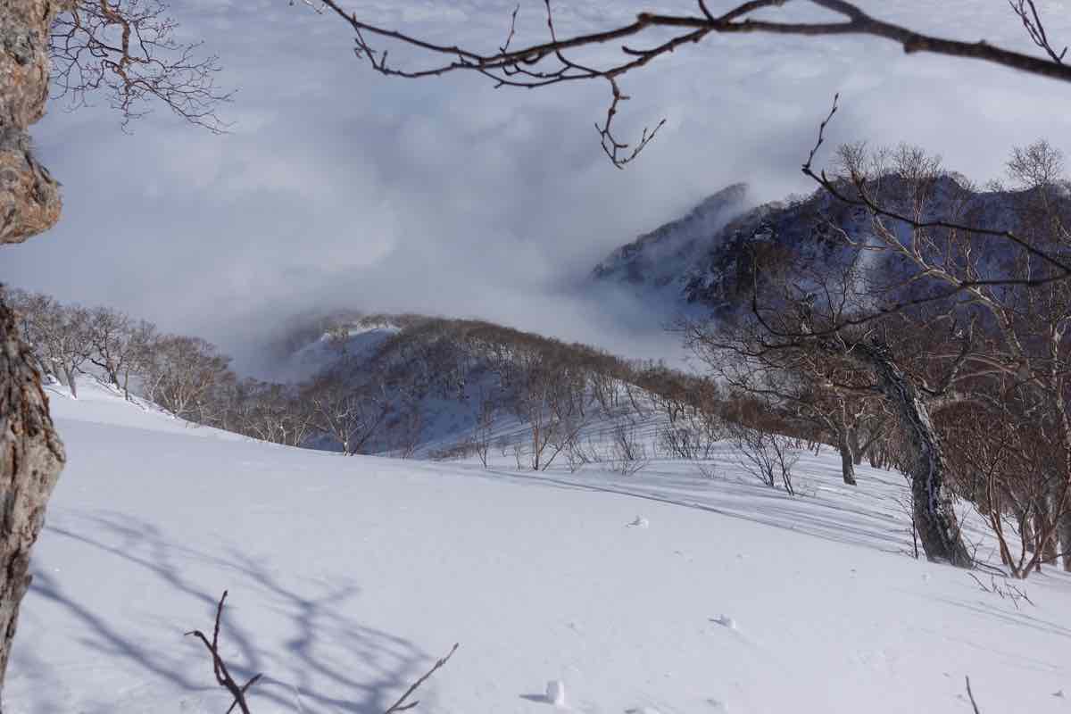 th_DSC01767.jpg Th DSC01767