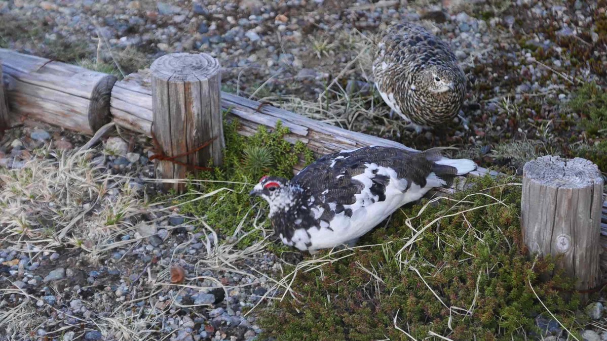 th_P1040066.jpg Th P1040066