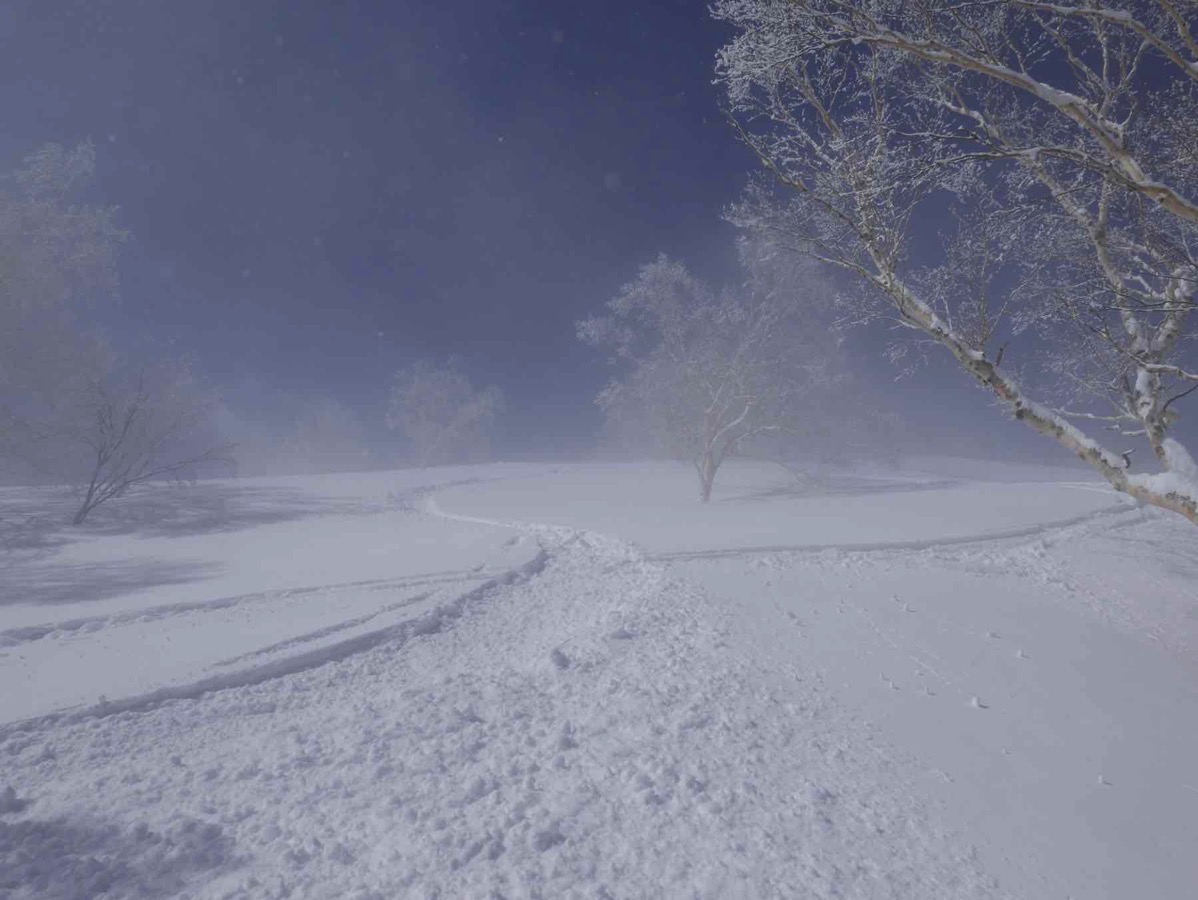 th_P1070376.jpg Th P1070376