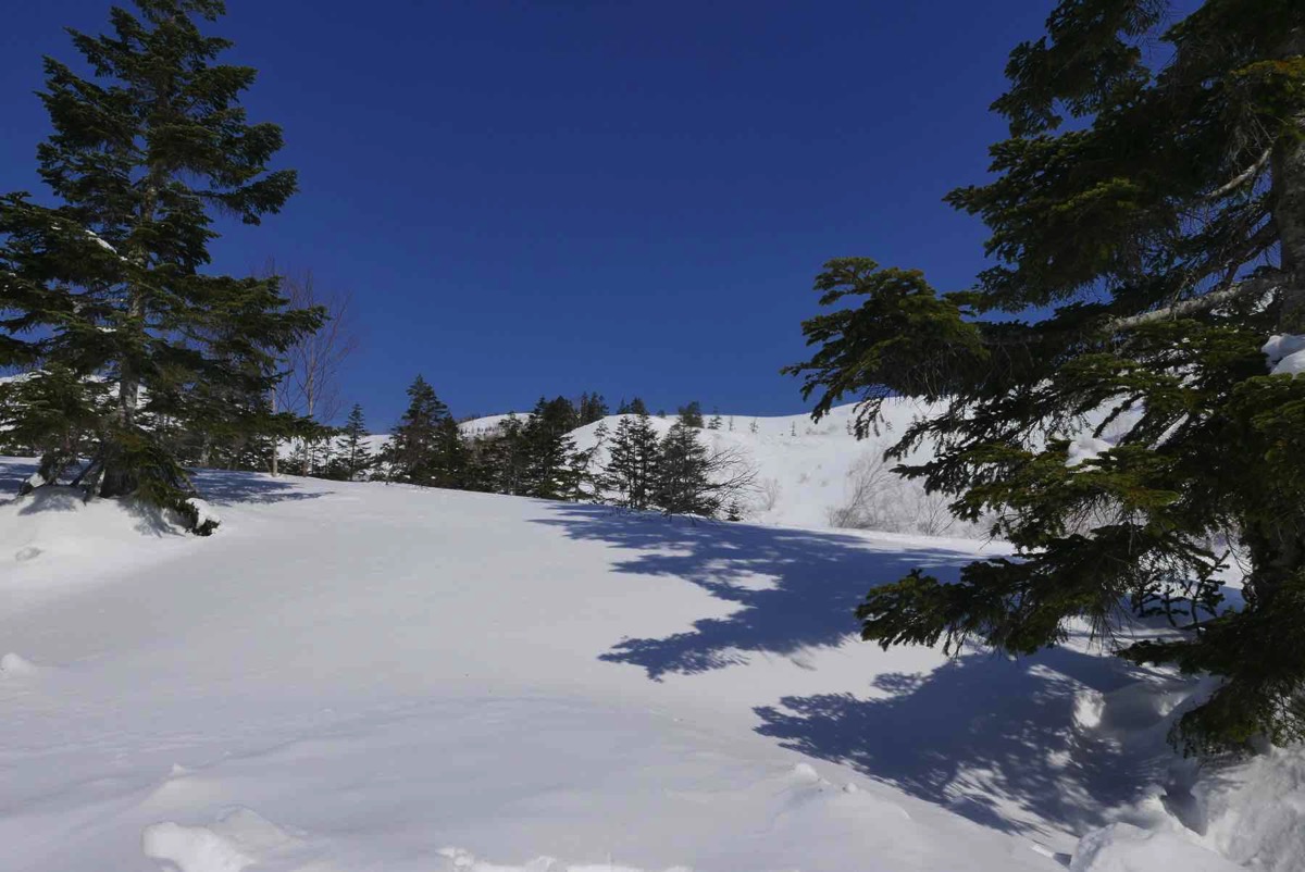 th_P1070555.jpg Th P1070555